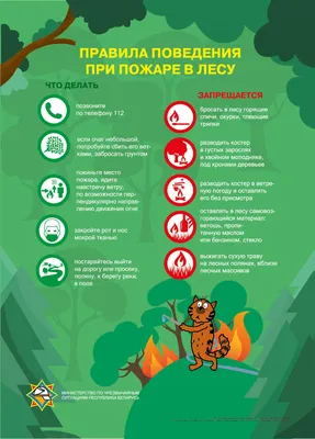 Комплект плакатов \"Правила поведения в пришкольном лагере\" (8 плакатов) –  купить по цене: 162,90 руб. в интернет-магазине УчМаг