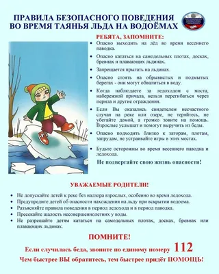 Безопасность на воде | Школа № 541 Курортного района