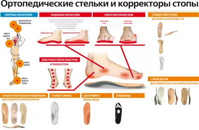 Фундамент здоровья: как форма стопы влияет на весь организм?