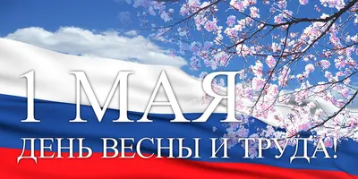 Картинки с 1 Мая: поздравительные открытки с Праздником Весны и Труда - МК  Волгоград