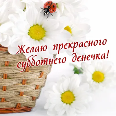 Доброго субботнего утра,друзья!🤗 Чудесных вам выходных👍 и прекрасного  настроения!💝 | ВКонтакте