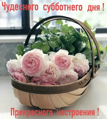 Доброго субботнего дня и прекрасного настроения - Фонопедия.ру