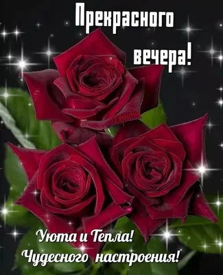 Картинки \"Добрый вечер!\" и \"Хорошего настроения!\" (229 шт.)