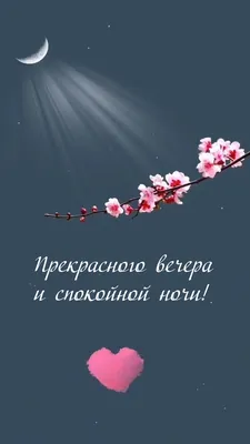 Прекрасного вечера! #добрыйвечер #хорошеговечера #вечер #открытка #пож... |  TikTok