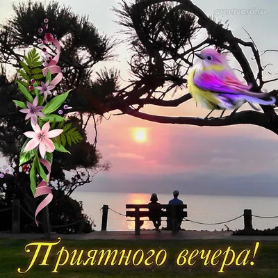 Прекрасного вечера☕ | Открытки Тедди | ВКонтакте