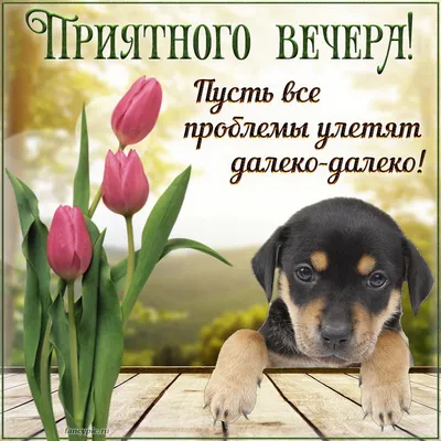 Картинки \"Доброго вечера!\" для женщины (233 шт.)