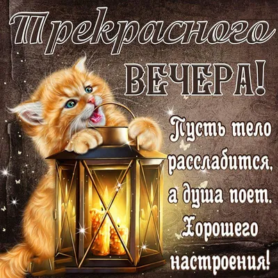 Открытка для любимых и родных Любимая Хорошего вечера. Открытки на каждый  день с пожеланиями для родственников.