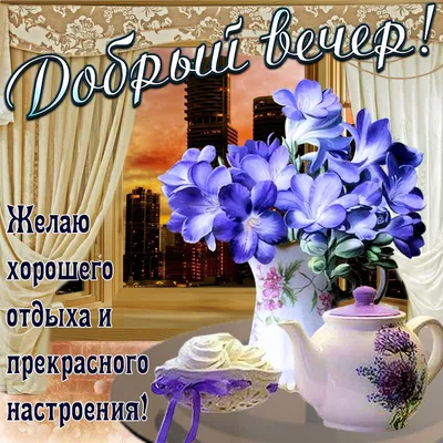 Красивая картинка приятного вечера с милой собакой