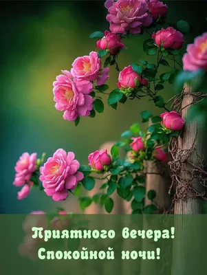 Картинка с пожеланием прекрасного вечера - поздравляйте бесплатно на  otkritochka.net