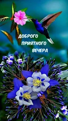 Открытки чудесного вечера и хорошего настроения - 89 фото