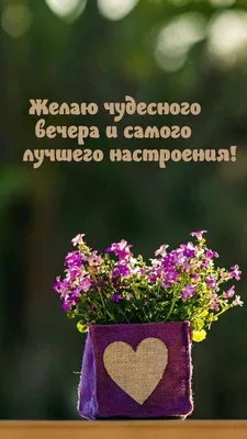 Картинки \"Доброго вечера и спокойной ночи!\" (181 шт.)