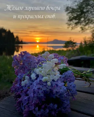 Открытка - желаю отдохнуть на все сто процентов, прекрасного вечера