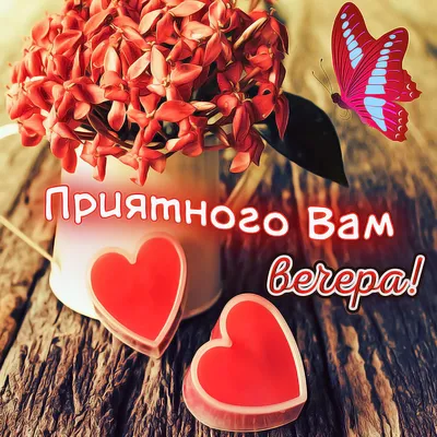 Прекрасного вечера! ⠀ #cda #longchamp #вечер #коктейль #вкусно #красиво |  Instagram