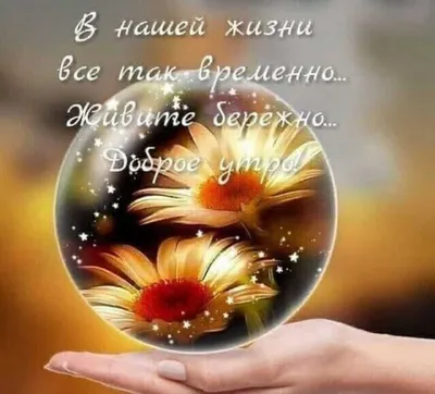 Открытки \"Доброго дня!\" для мужчин (226 шт.)
