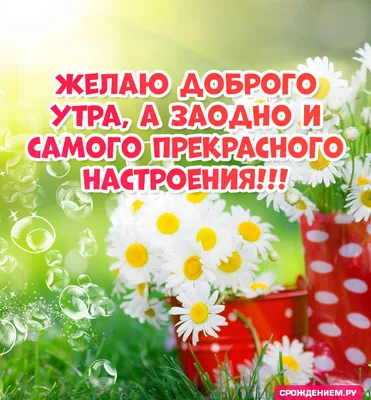 Картинка - Прекрасному человеку признания (Катя, я тебя люблю) скачать