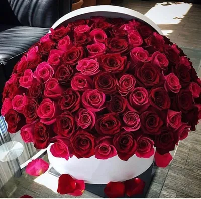 Прекрасные розы в коробке купить в Киеве 5 015 грн. | MaryAnFlowers.com