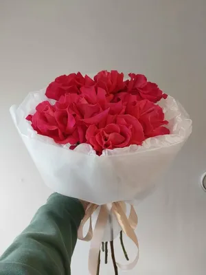 Прекрасные розы Эльторро 75шт - Green Rose