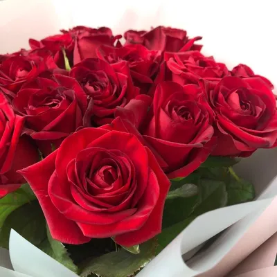 Прекрасные розы 🌹 Цена: 1500с ЗАКАЖИТЕ ЦВЕТЫ ПРЯМО СЕЙЧАС: 🕐График работы  : с 09:00 - 00:00 📍Адрес : Киевская 93 6 Быстрая… | Instagram