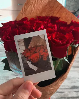 Прекрасные розы от моего парня Закрыть фотографию спокойной позитивной леди  держащей букет цветов розы наслаждаются Стоковое Изображение - изображение  насчитывающей вскользь, день: 159813631
