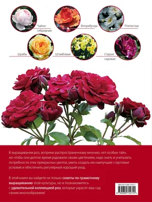 Красивые розы, искусственные цветы, букет розы, пластиковые цветы для  свадебной вечеринки, искусственные цветы «сделай сам», украшение для дома и  стола | AliExpress