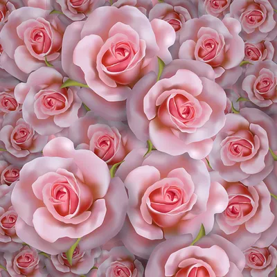 Фотообои прекрасные розы. арт. op23524658 - купить в интернет-магазине  ЛюксОбои. Скидка -50 процентов.