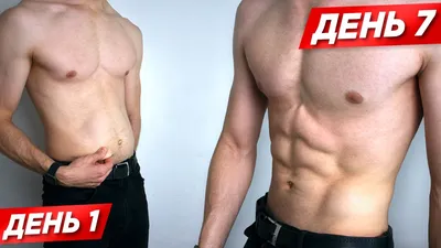 Рельефный пресс: как быстро накачать мышцы живота