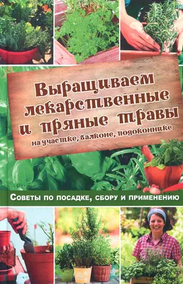 Как вырастить пряные травы на подоконнике в домашних условиях? Какие  выбрать? | Статьи для садоводов