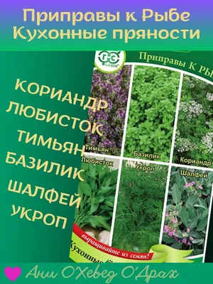 ✓ Набор семян Кухонные пряности для консервирования и солений (5  вкладышей), Гавриш по цене 40 руб. ◈ Большой выбор ◈ Купить по всей России  ✓ Интернет-магазин Гавриш ☎ 8-495-902-77-18