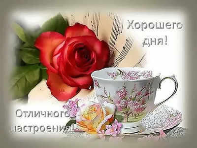 Набор Хорошего дня | Студия доставки цветов Азалия - Барнаул