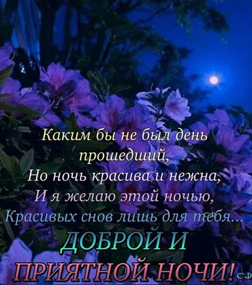 Доброго вечера и ночи (много фото) - treepics.ru