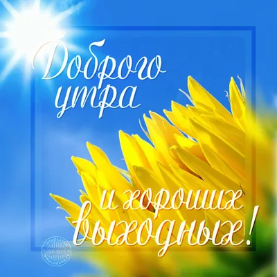 СЛОВА ЖИЗНИ - Приятных выходных! ☀️ | Facebook