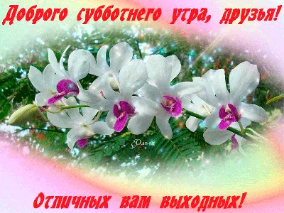 Отличных выходных, вы лучшие!! | Наталья Бусырева | Дзен