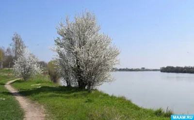 День прихода весны - Праздник