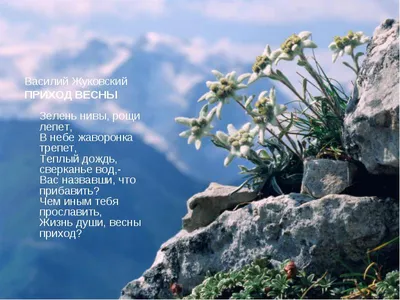 Приход весны» картина Огильви-Стасевич Татьяны (холст, акрил) — купить на  ArtNow.ru