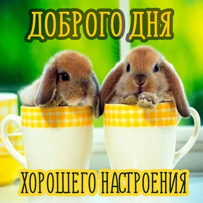 Не засмеётся🤣 только нерусский! Новые народные🔥 слова и актуальные приколы  об изменениях жизни | Призма жизни | Дзен