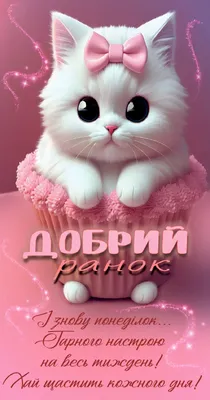 Добрий ранок 🌸 понеділок | Cute