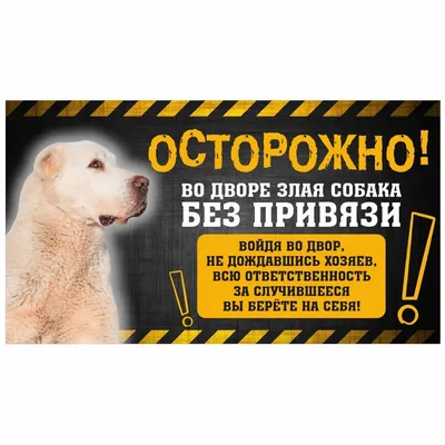 Табличка, с юмором, прикол, DANGER DOG, Осторожно! Во дворе собака без  привязи, Алабай, 25x14 см, 25 см, 14 см - купить в интернет-магазине OZON  по выгодной цене (1066560796)