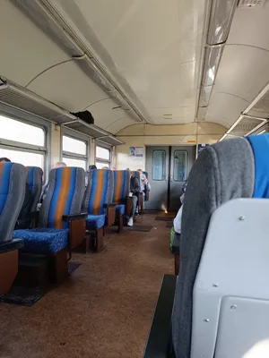 Необычные находки: что пассажиры забывают в поездах