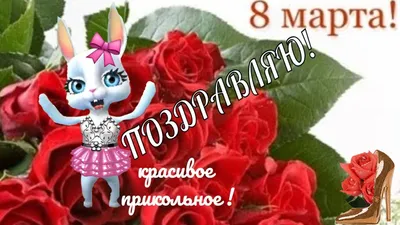Прикольные поздравления в женский день 8 марта🌹С ПРАЗДНИКОМ 8 МАРТА  ДЕВЧАТА — Видео | ВКонтакте