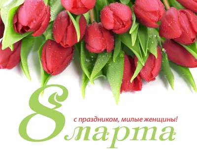 Пожелания своими словами и в стихах! Открытка прикольная с 8 марта  международный женский день, котик и букет роз!
