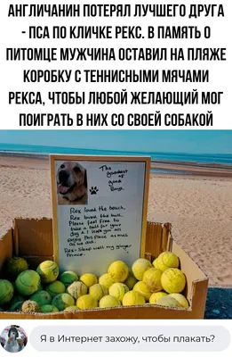 Прикольные картинки для поднятия настроения (254 шт.)
