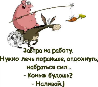 Смс любимому мужчине, мужу. Смс любимому мужчине, мужу короткие, прикольные,  для поднятия настроения, для пожелания доброго утра и спо… | Red  peppercorn, Condiments