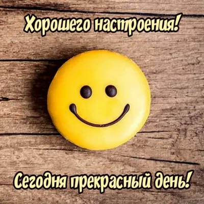 Прикольные и смешные картинки для настроения (54 лучших фото)