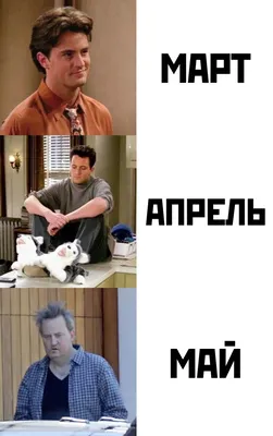 Прикольные картинки для поднятия настроения мужчинам (370 шт.)