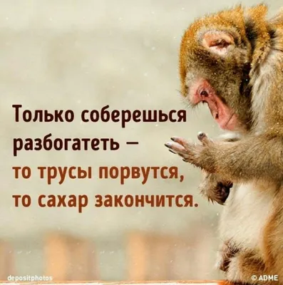 Подборочка приколов для хорошего настроения | Мастерская интроверта | Дзен