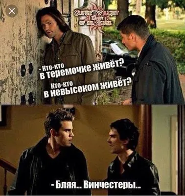 Пин от пользователя Katerina J. Morrison на доске Lol | Смешные шутки,  Смешные мемы, Научные шутки