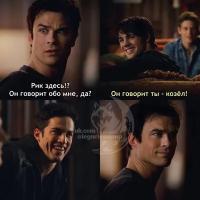 Пин от пользователя coolkit kat на доске the vampire diaries and original  and legacy | Дневники вампира, Мемы, Фанатка