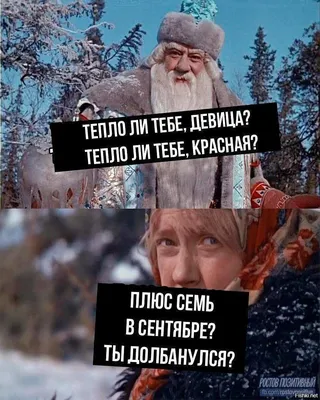 Новогоднее теле-меню: традиционный набор фильмов, повторяющийся из года в  год | Розовая Овца | Дзен