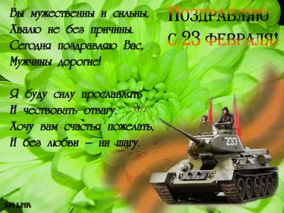 39 картинок «С 23 февраля!»: поздравляем мужчин с праздником – Canva