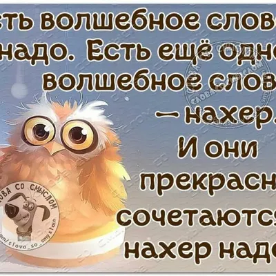 Мыло для Серьезных отношений (60 г). Прикольный подарок девушке парню женщине  мужчине жене мужу - купить Сувенирное мыло по выгодной цене в  интернет-магазине OZON (242963313)